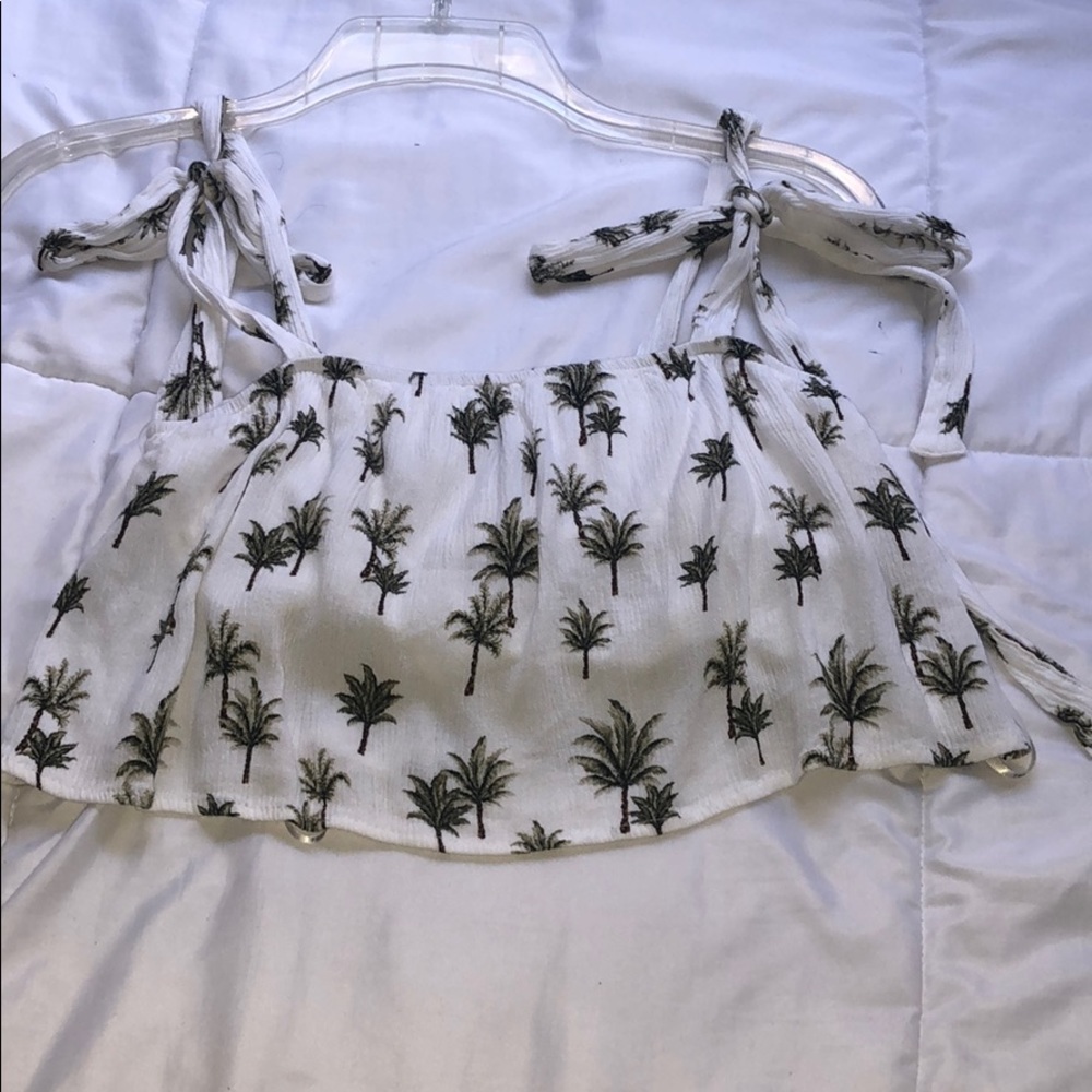 Crop top palm tree top